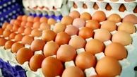 ترویج مصرف تخم مرغ در مدارس!