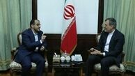 دیدار مذاکره کننده ارشد انصارالله یمن با جابری انصاری
