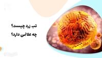 تب زرد چیست و چه نشانه هایی دارد ؟