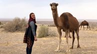 شبنم فرشادجو در کنار یک‌ حیوان صحرایی + عکس