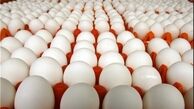 نرخ تخم مرغ در بازار ثابت ماند