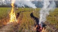 آتش بس در مزارع مازندران!