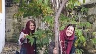 خانه مادری خانم بازیگر معروف + عکس