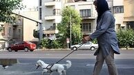 سبقت از الگوهای اولیه در پدیده تقلیدگرایی