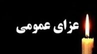 چه روزهایی عزای عمومی اعلام شد ؟