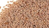  خواص دارویی اسفرزه از دیدگاه طب سنتی 