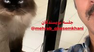 سلفی ژوله با گربه خشمگین + عکس