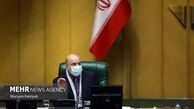 کمیسیون کشاورزی موضوع خرید و واردات گوشت را بررسی کند