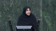 مجوز صادرات گوجه فرنگی صادر شد
