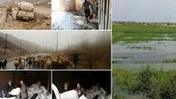 جزئیات میزان خسارت سیل و نحوه جبران آن در بخش کشاورزی کشور