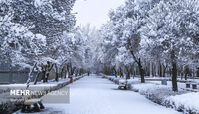 تهران سردتر می‌شود