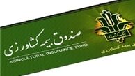 دستان پینه‌‌بسته کشاورزان به سوی دولت دراز است 