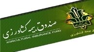دستان پینه‌‌بسته کشاورزان به سوی دولت دراز است 