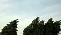 وزش باد شدید در تهران / احتمال سقوط بهمن در ارتفاعات